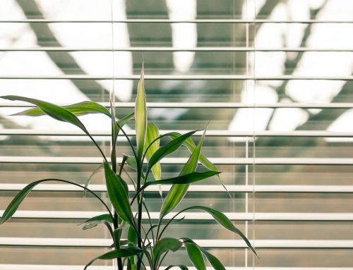 How to Choose the Perfect Blinds for Your Conservatory!