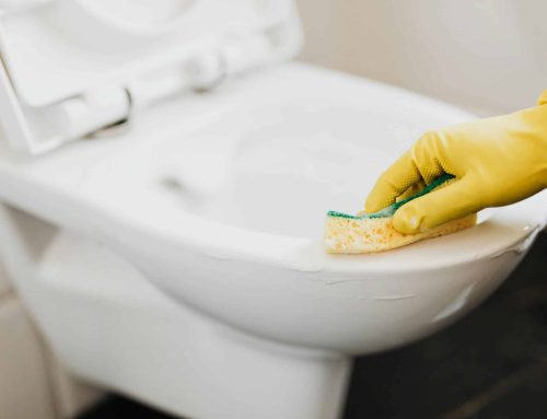 How to unblock a toilet