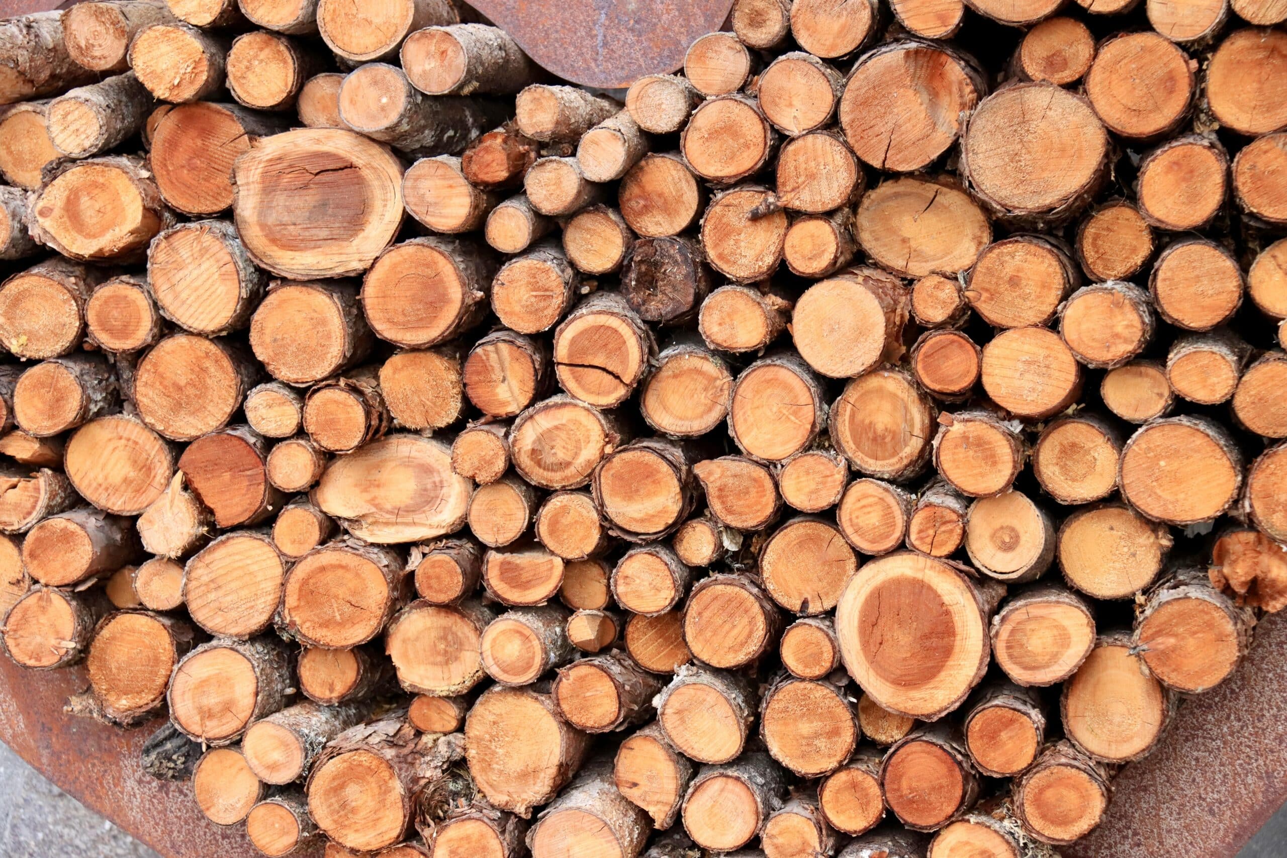 The Benefits of a Biomass Boiler